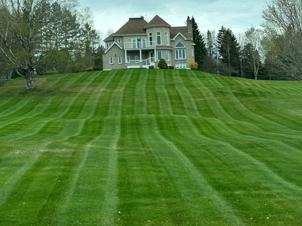 Project by Les Services MJD et Fils
