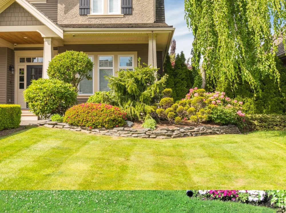 Landscaping service