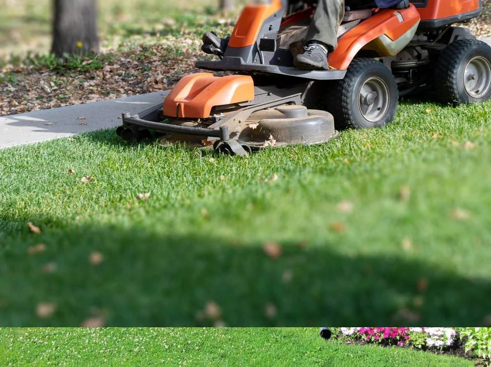 Professional lawn mowing